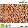 Organic bitter apricot kernels