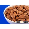 Quality Processed Dried Apricot Kernels for sale at very good prices