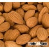 Sweet Almond