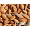 Roasted salted almond without shell for hot sale