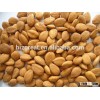 We are supply almonds , Roasted salted almond with good quality
