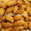 100% natural almond/badam of xinjiang china