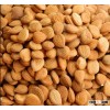 price for Bitter apricot kernel for sale,common cultivation