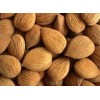 Sweet Apricot Kernel for Sale.