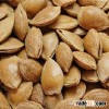Apricot Kernel in Shell, Apricot Pit