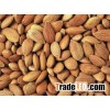 Dried baked apricot kernels.