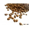 Wild Apricot Kernels/ Wild Bitter Apricot Kernels From Nepal/ Bitter Apricot Kernels
