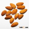 organic apricot kernel
