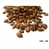Bitter Apricot Kernels from Nepal/ Himalayan Apricot Kernels/ Prunus Apricot Kernels