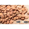 Organic Sweet Apricot Kernels For Different Kind Of Specifications 600/700/750/900 pcs/500g.