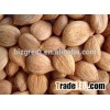2015 bitter Apricot kernels without shell with good quality for sale