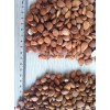Bitter apricot kernel for baking