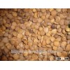 Supply with Chinese New Crop Bitter Apricot Kernels with Good Quality for Sales