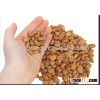 Bitter raw apricot kernel