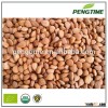Top quality organic bitter apricot kernels
