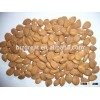 Supply Varied Apricot Kernel with good quality