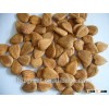 Longwang Bulk Sweet Apricot Kernels for Sales