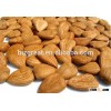 2015 bitter Apricot kernels out of shell packing in 25kg per bag for sale