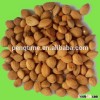 bitter apricot kernels/apricot kernel for sale