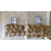 Supply with Chinese Bulk Roasted Apricot Kernels in Shell
