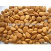 supply with Chinese apricot kernels out of shell for sale