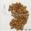 Supply for apricot kernels, Sweet apricot kernel without shell