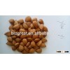 We are supplying 2015 Chinese the newest crop apricot kernels out of shell youyi