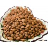 Bitter apricot kernels, almond