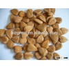 supply factory price Chinese sweet apricot kernel Youyi type