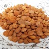 Bitter Apricot Kernels