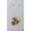 2015 Apricot kernels out of shell( youyi ) grade food with excellent quality for sale