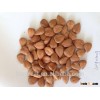 Supply with Chinese Bulk Sweet Apricot Kernels Longwang with good quality for Sales