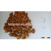 2015 our best- sellerApricot kernels out of shell( youyi ) with excellent quality for sale