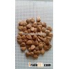 Chinese the newest crop 650grains/500g Longwang apricot kernels out of shell for sale