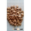 We are supplying 2015 Chinese the newest crop 650grains/500g Longwang apricot kernels out of shell