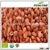 Organic Himalayas bitter apricot kernels