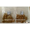 Supply with Chinese Bulk Milk Flavored Roasted Apricot Kernels in Shell