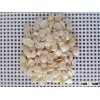 Blanched Bulk Apricot Kernels for Sales
