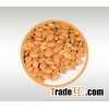 Apricot Seeds