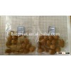 Chinese roasted apricot kernels in shell with milk flavor for hot sale