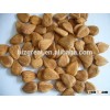 roasted apricot kernels raw flavor with good quality for sale