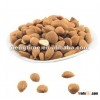Dried apricot kernels