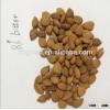 Supply Sweet Apricot kernels with 8% bitter