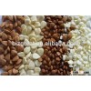 Raw Blanched apricot kernels flakes for sale
