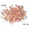 Chinese bitter apricot kernel for sale