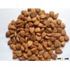 High quality Bitter apricot kernels