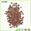 China Supplier bitter apricot kernel