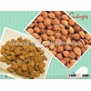 Sweet Apricot kernels