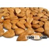 sweet and bitter apricot kernels