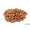 2014 High quality Apricot kernels